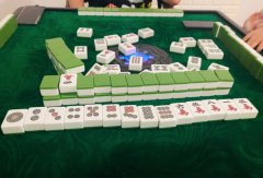 湖北6人在家中打麻将被警方现场查获 组织者涉嫌赌博罪被起诉